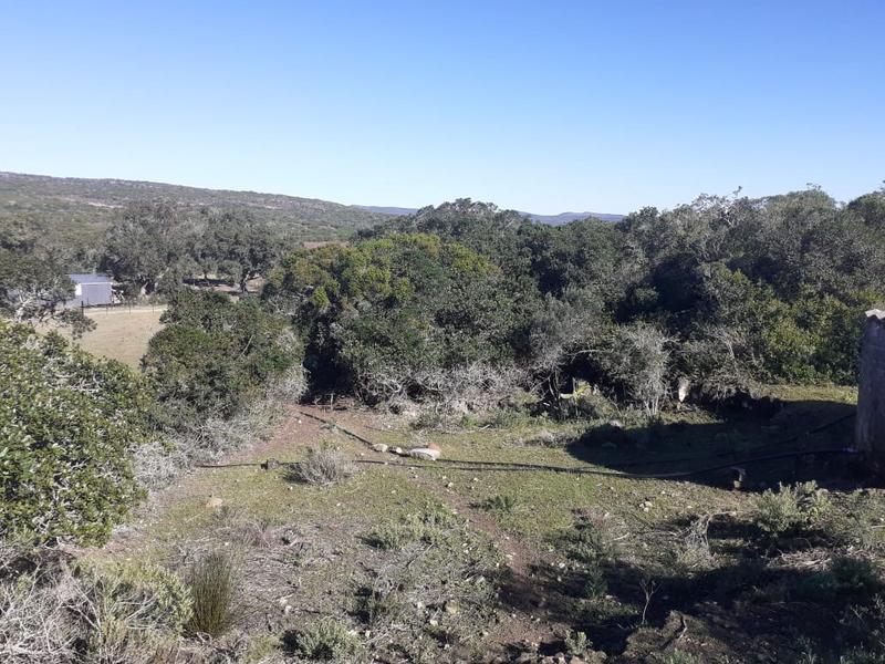 0 Bedroom Property for Sale in Mossel Bay Rural Western Cape